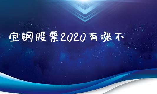 宝钢股票2020有涨不_https://wap.qdlswl.com_理财投资_第1张