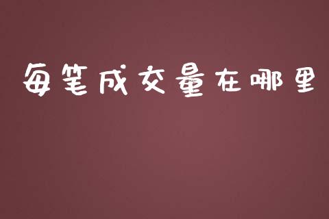 每笔成交量在哪里_https://wap.qdlswl.com_全球经济_第1张