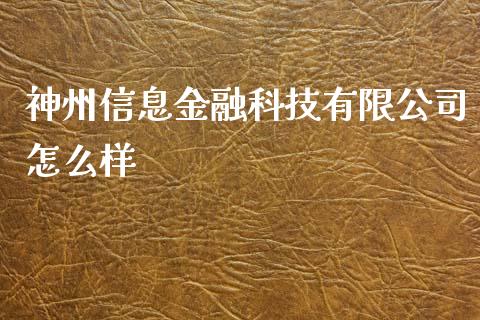 神州信息金融科技有限公司怎么样_https://wap.qdlswl.com_证券新闻_第1张