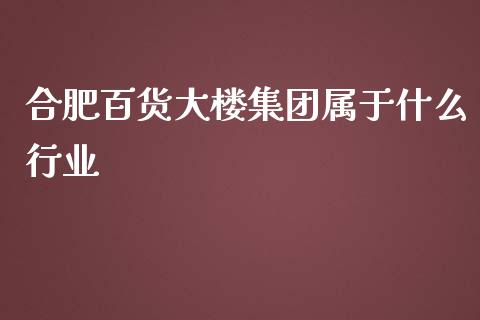 合肥百货大楼集团属于什么行业_https://wap.qdlswl.com_全球经济_第1张