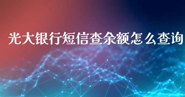 光大银行短信查余额怎么查询_https://wap.qdlswl.com_财经资讯_第1张