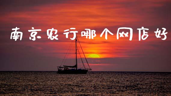 南京农行哪个网店好_https://wap.qdlswl.com_理财投资_第1张