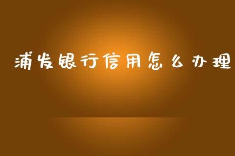 浦发银行信用怎么办理_https://wap.qdlswl.com_财经资讯_第1张