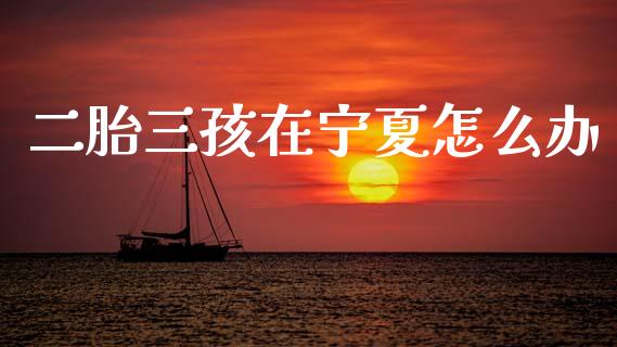 二胎三孩在宁夏怎么办_https://wap.qdlswl.com_证券新闻_第1张