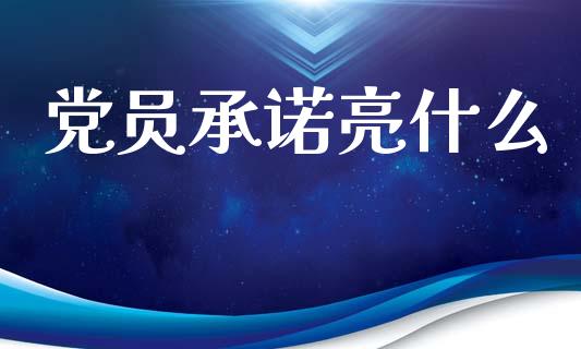 党员承诺亮什么_https://wap.qdlswl.com_证券新闻_第1张