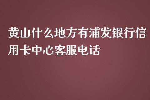 黄山什么地方有浦发银行信用卡中心客服电话_https://wap.qdlswl.com_财经资讯_第1张