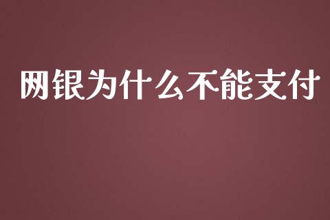 网银为什么不能支付_https://wap.qdlswl.com_理财投资_第1张