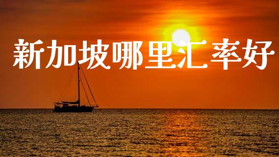 新加坡哪里汇率好_https://wap.qdlswl.com_理财投资_第1张