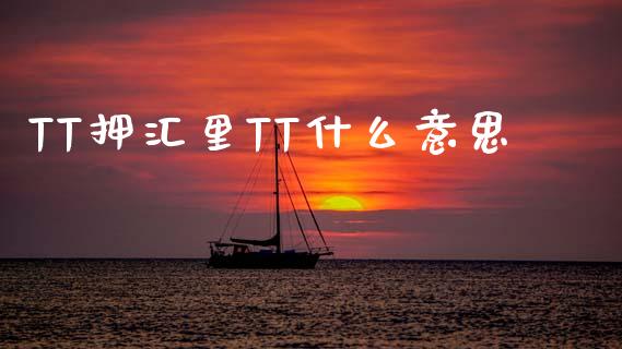 TT押汇里TT什么意思_https://wap.qdlswl.com_全球经济_第1张