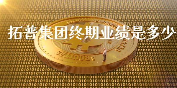 拓普集团终期业绩是多少_https://wap.qdlswl.com_财经资讯_第1张