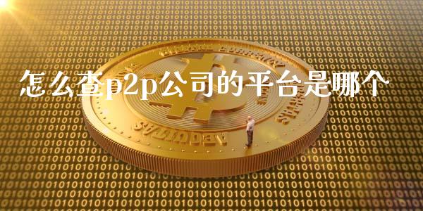 怎么查p2p公司的平台是哪个_https://wap.qdlswl.com_财经资讯_第1张