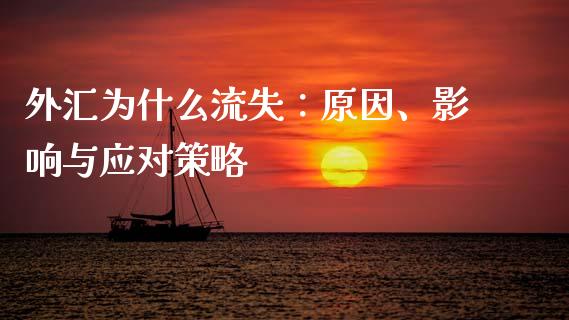 外汇为什么流失:原因、影响与应对策略_证券新闻_第1张_财经资讯_理财投资_证券新闻_全球经济 外汇为什么流失:原因、影响与应对策略_https://wap.qdlswl.com_证券新闻_第1张