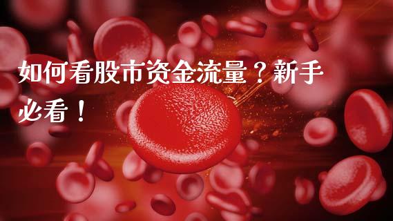 如何看股市资金流量？新手必看！_https://wap.qdlswl.com_财经资讯_第1张