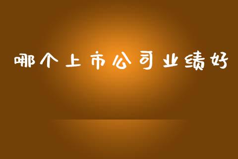 哪个上市公司业绩好_https://wap.qdlswl.com_全球经济_第1张