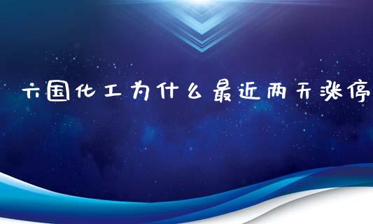 六国化工为什么最近两天涨停_https://wap.qdlswl.com_全球经济_第1张