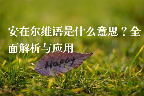 安在尔维语是什么意思？全面解析与应用_https://wap.qdlswl.com_财经资讯_第1张