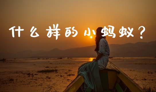 什么样的小蚂蚁？_https://wap.qdlswl.com_全球经济_第1张