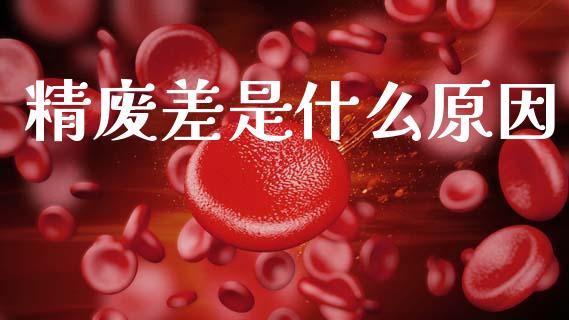 精废差是什么原因_https://wap.qdlswl.com_理财投资_第1张