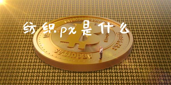 纺织px是什么_https://wap.qdlswl.com_理财投资_第1张