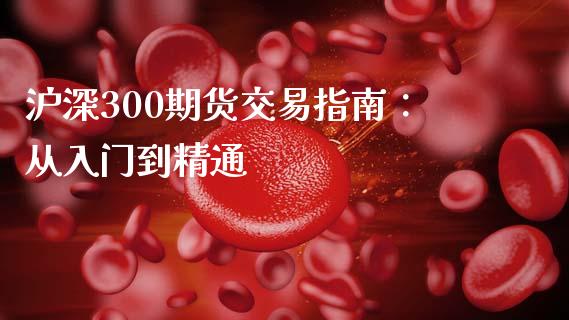 沪深300期货交易指南：从入门到精通_https://wap.qdlswl.com_理财投资_第1张