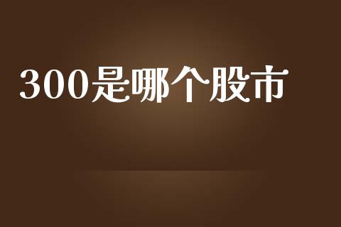 300是哪个股市_https://wap.qdlswl.com_证券新闻_第1张