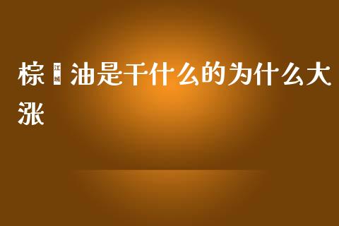 棕榈油是干什么的为什么大涨_https://wap.qdlswl.com_全球经济_第1张