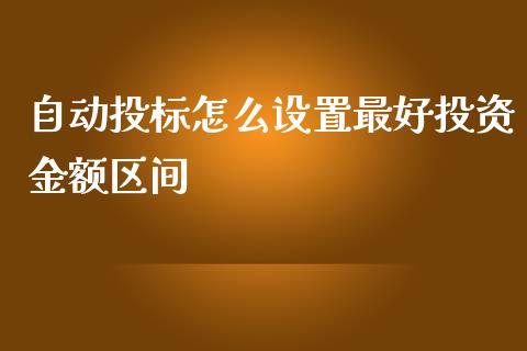 自动投标怎么设置最好投资金额区间_https://wap.qdlswl.com_理财投资_第1张