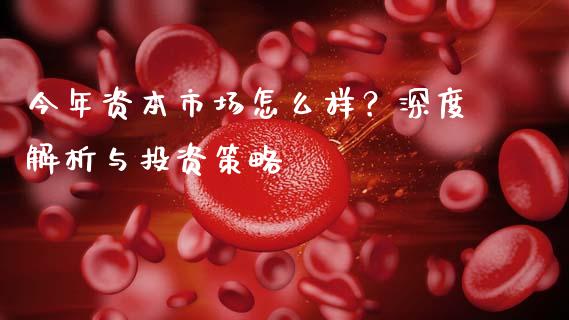 今年资本市场怎么样？深度解析与投资策略_https://wap.qdlswl.com_理财投资_第1张