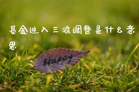 基金进入三浪调整是什么意思_https://wap.qdlswl.com_财经资讯_第1张