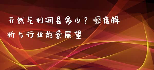 天然气利润是多少？深度解析与行业前景展望_https://wap.qdlswl.com_全球经济_第1张