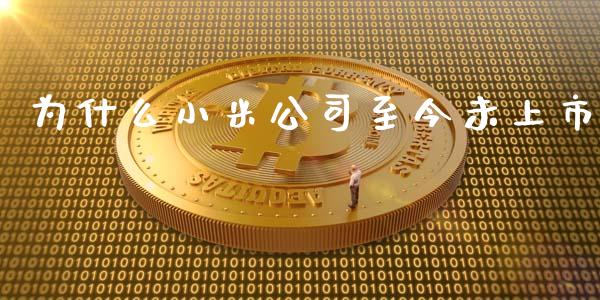 为什么小米公司至今未上市_https://wap.qdlswl.com_财经资讯_第1张