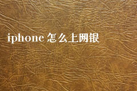 iphone 怎么上网银_https://wap.qdlswl.com_财经资讯_第1张