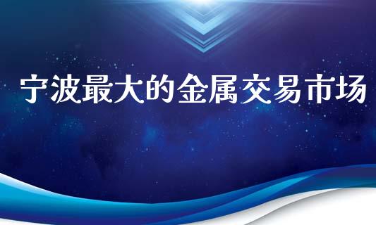 宁波最大的金属交易市场_https://wap.qdlswl.com_理财投资_第1张