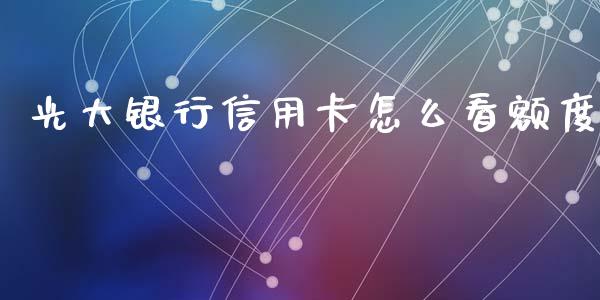 光大银行信用卡怎么看额度_https://wap.qdlswl.com_理财投资_第1张