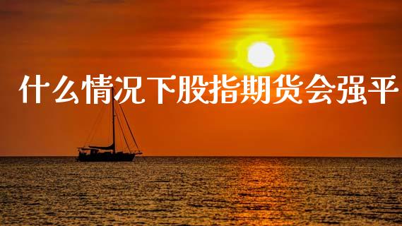 什么情况下股指期货会强平_https://wap.qdlswl.com_理财投资_第1张