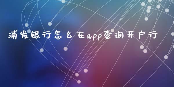 浦发银行怎么在app查询开户行_https://wap.qdlswl.com_证券新闻_第1张