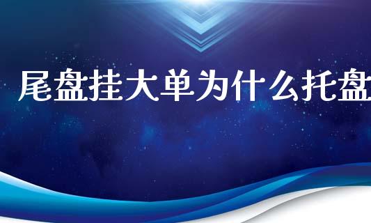 尾盘挂大单为什么托盘_https://wap.qdlswl.com_理财投资_第1张