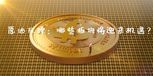 原油反弹：哪些板块将迎来机遇？_https://wap.qdlswl.com_理财投资_第1张