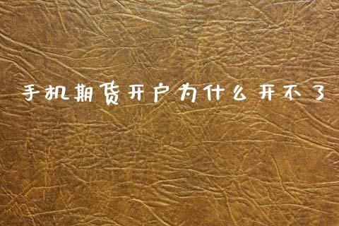 手机期货开户为什么开不了_https://wap.qdlswl.com_理财投资_第1张