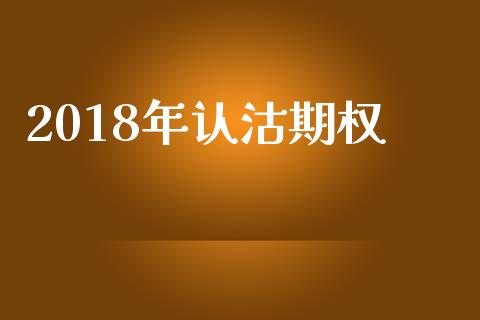 2018年认沽期权_https://wap.qdlswl.com_理财投资_第1张