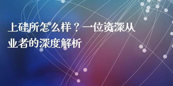 上硅所怎么样？一位资深从业者的深度解析_https://wap.qdlswl.com_理财投资_第1张