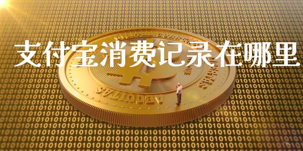 支付宝消费记录在哪里_https://wap.qdlswl.com_财经资讯_第1张