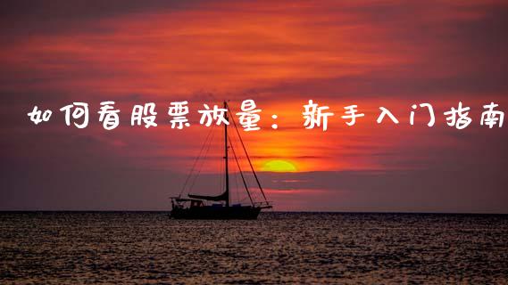 如何看股票放量：新手入门指南_https://wap.qdlswl.com_财经资讯_第1张