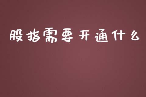 股指需要开通什么_https://wap.qdlswl.com_理财投资_第1张