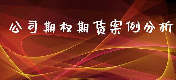 公司期权期货案例分析_https://wap.qdlswl.com_证券新闻_第1张