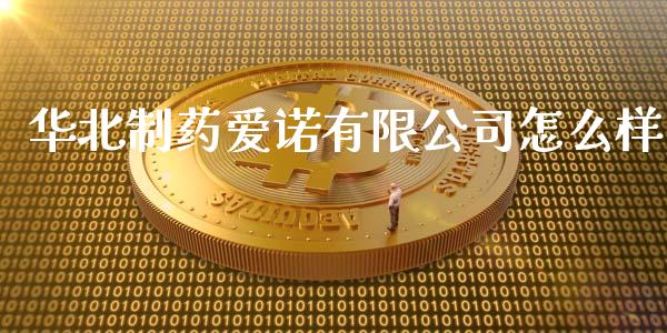 华北制药爱诺有限公司怎么样_https://wap.qdlswl.com_财经资讯_第1张