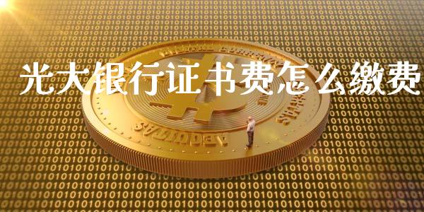 光大银行证书费怎么缴费_https://wap.qdlswl.com_财经资讯_第1张