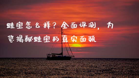 蛙宝怎么样？全面评测，为您揭秘蛙宝的真实面貌_https://wap.qdlswl.com_证券新闻_第1张