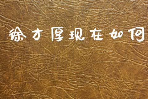 徐才厚现在如何_https://wap.qdlswl.com_全球经济_第1张