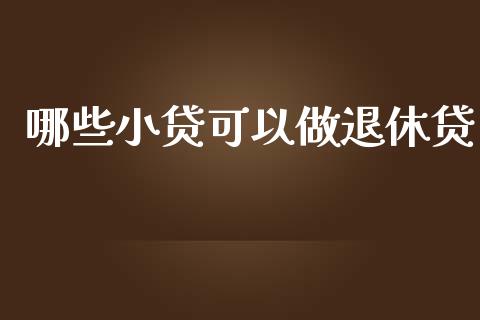 哪些小贷可以做退休贷_https://wap.qdlswl.com_理财投资_第1张